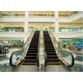 China Best Buys Energiesparende Fjzy Customized Rolltreppe